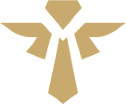 logo support